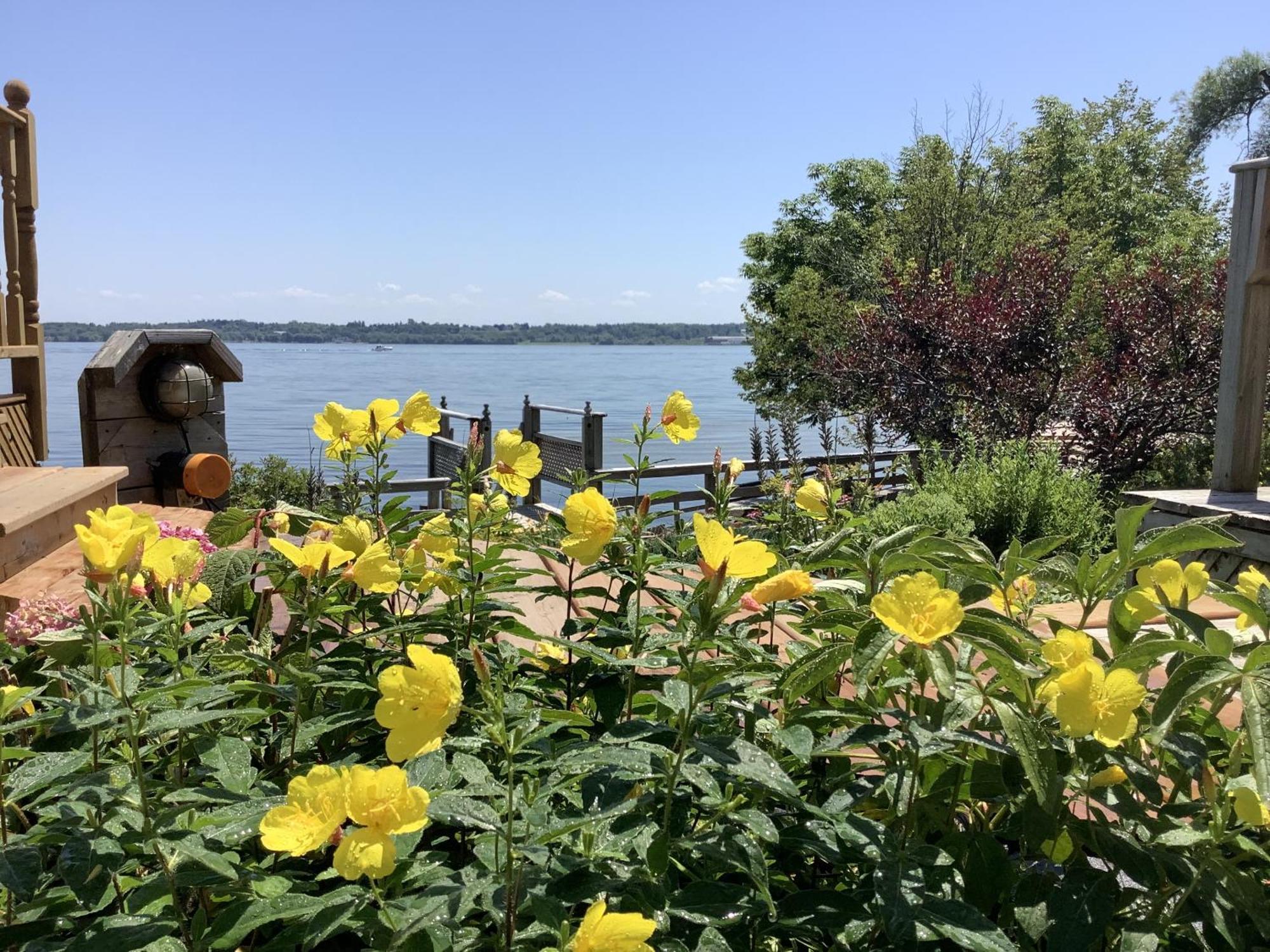 Dewar'S Inn And Cottages Prescott Bagian luar foto